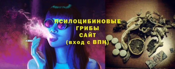 прущий лед Бронницы