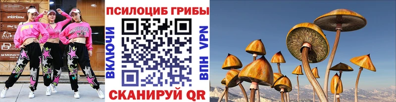 Галлюциногенные грибы GOLDEN TEACHER Цоци-Юрт